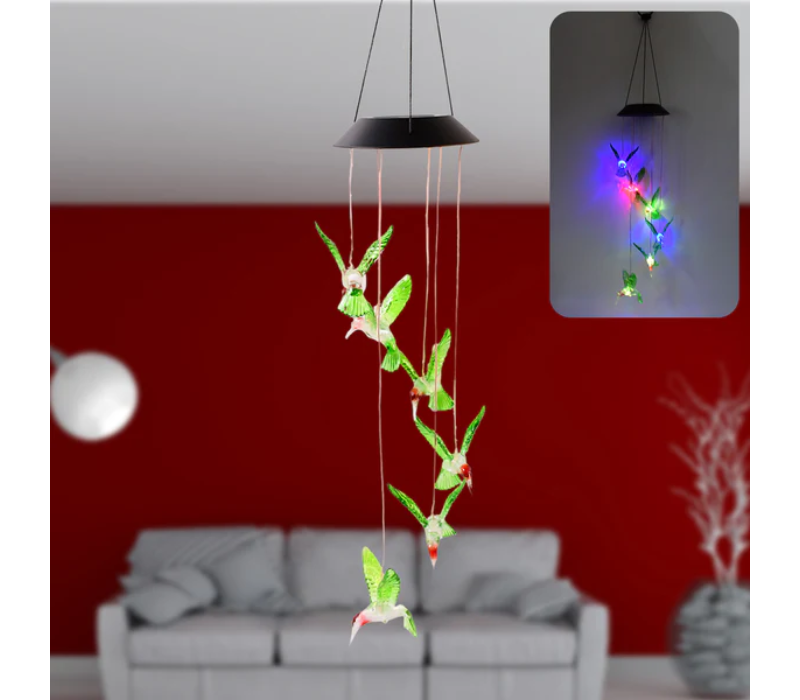 Humming Bird Solar Gift